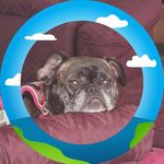 Profile Picture of Pamela Hutton Schumacher (@schumacherpamela) on Instagram