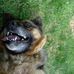 Profile Picture of Steve Hodson (@steve.hodson.9484) on Facebook