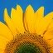 Profile Picture of Joey Braun (@jmb111296) on Youtube