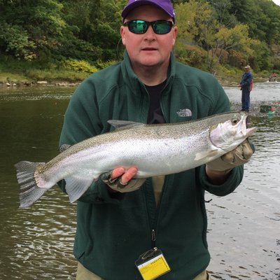 Profile Picture of Shawn Fitzgibbons (@Fitzy50NY) on Twitter