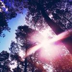 Profile Picture of Mike TT Hjelm (@woodrabbitspirit) on Instagram