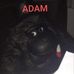Profile Picture of Adam Stankiewicz (@adam.stankiewicz.3382) on Facebook
