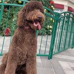 Profile Picture of Misty Mae Jefferson (@mistymaejefferson) on Instagram