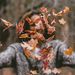 Profile Picture of Jackson Marker  (@jacksonmarker22361) on Pinterest