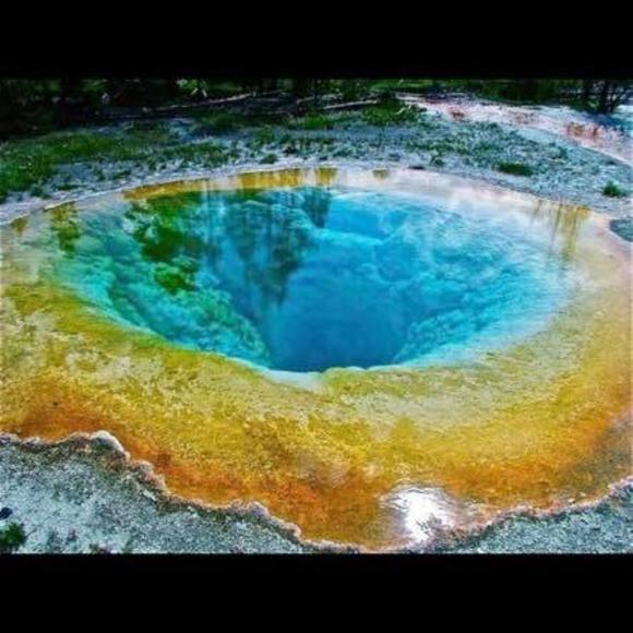 Profile Picture of Zhang Yong (@zhangyong) on Poshmark