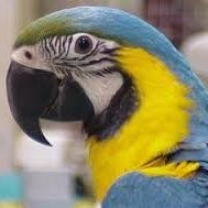 Profile Picture of Laila Fermandez (@camille1724) on Myspace