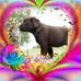 Profile Picture of Margaret Gailey (@Margaret-Gailey) on Facebook