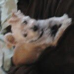 Profile Picture of Matthew Hood (@matthew_hood) on Instagram