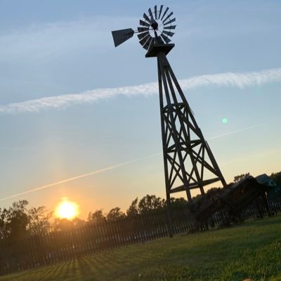 Profile Picture of Tyler Sneed (@Sneed56) on Twitter