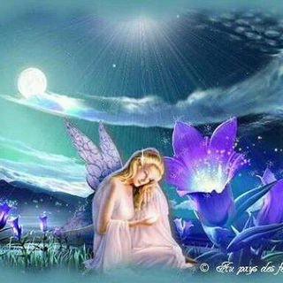 Profile Picture of Celene Sanchez Ayala (@celenesancheza2) on Twitter