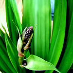 Profile Picture of Ella Apsara Suwa Weda Medura Spa (@ella apsara suwa weda medura) on Flickr