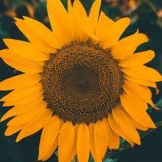 Pamela Dutri - Facebook Profile Picture of Pamela Dutri (@pamela.dutri) on Facebook