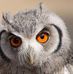 Profile Picture of Steve Sowell (@steve.sowell.735) on Facebook