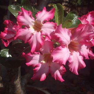 Кристина Глазирова - Facebook Profile Picture of Кристина Глазирова (@&) on Facebook