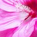 Profile Picture of Alex Stouffer (@22astouffer) on Pinterest