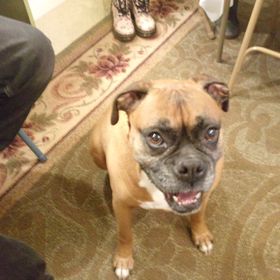 Profile Picture of Tanya Rodriguez (@ffloreswithpani) on Pinterest