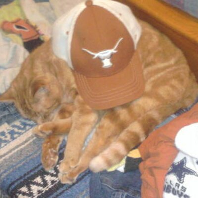 Profile Picture of Joe Lujan (@hookem012) on Twitter