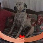 Profile Picture of Robert Michael Landgraf (@landgrafrobertmichael) on Instagram