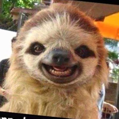 Profile Picture of Ali Hassanzadeh (@AliHass11108731) on Twitter