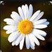 Profile Picture of Jo Tyler (@jo.tyler.353803) on Facebook