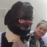 Profile Picture of MAX (@m.a.x_torres) on Instagram