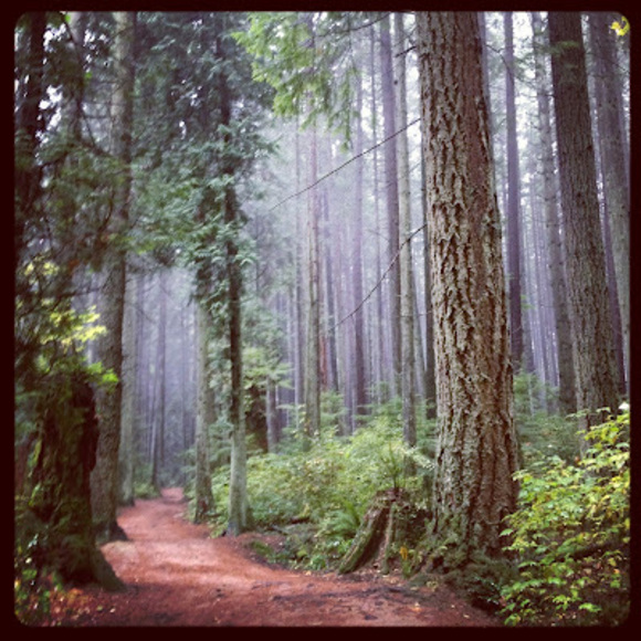 Profile Picture of Megan Peloso (@mmpeloso) on Poshmark