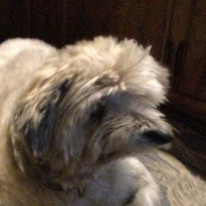 Profile Picture of ianmkowal8 (@ianmkowal8) on Tiktok