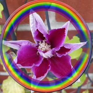 Profile Picture of Fay Hudson (@fay.hudson.984) on Facebook