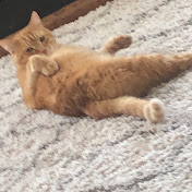 Profile Picture of Sean Donlin (@seandonlin7667) on Youtube