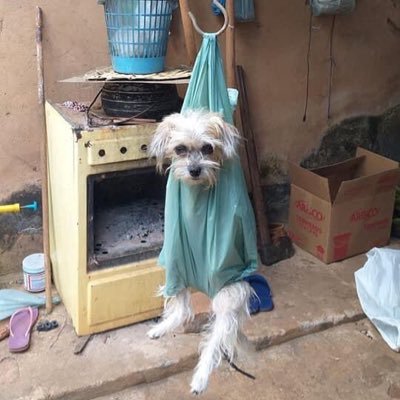 Profile Picture of Jessie Triste Do Toy Story (@ana_meses) on Twitter