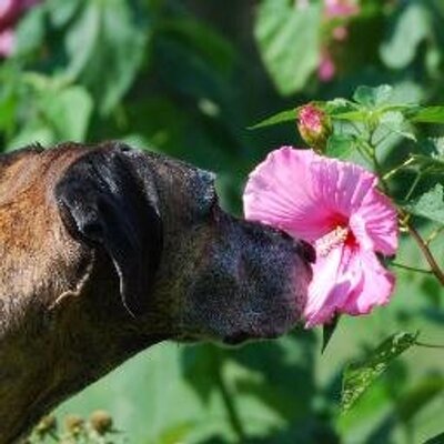 Profile Picture of Way-Back Farm Photog (@LilaFisherWenze) on Twitter