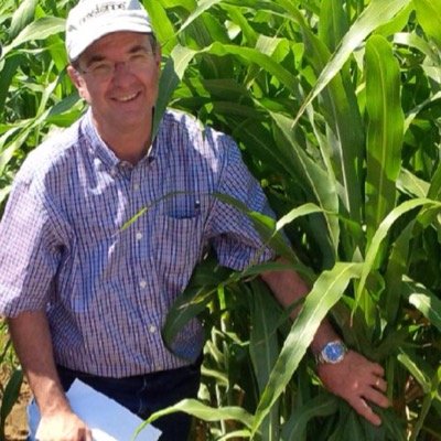 Profile Picture of Brent Bean (@SorghumBrent) on Twitter