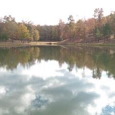 Profile Picture of Steve Haupt (@HauptSteve) on Twitter