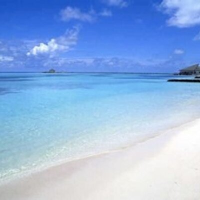 Profile Picture of Mona C A Searles (@prinwizchic) on Twitter