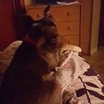 Profile Picture of Tami Oberdahlhoff Sheets (@tamioberdahlhoff) on Instagram