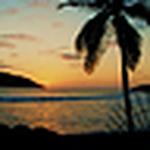 Jocelyn Alvarado - Flickr Profile Picture of Jocelyn Alvarado (@moonlight2124) on Flickr