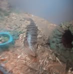 Profile Picture of Larry Spearman (@Larry-Spearman) on Facebook