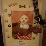 Profile Picture of Ingrid Klump (@ingridklump) on Instagram