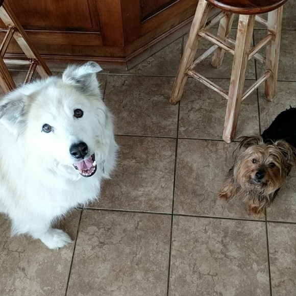 Profile Picture of Forrest Karriker (@fkarrike) on Poshmark