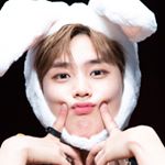 ♥︎다람쥐♥︎ - Instagram Profile Picture of ♥︎다람쥐♥︎ (@cobichanno) on Instagram