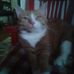 Profile Picture of Ginger Stucky (@ginger.stucky) on Facebook