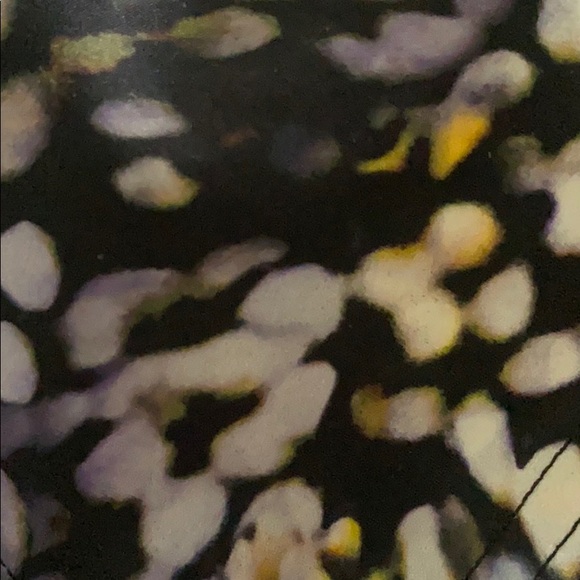 Profile Picture of Lisa Summerall (@summeral1) on Poshmark