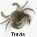 Profile Picture of Travis Gold (@awooogah) on Pinterest