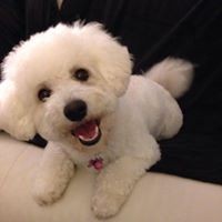 Profile Picture of Hilary Reid (@hilary-reid-1) on Quora