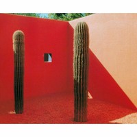 Profile Picture of Haley Castro (@haley-castro-1) on Quora