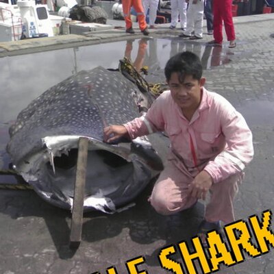 Profile Picture of John Ian Tolentino (@johnytolentino) on Twitter