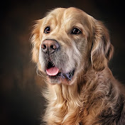 Profile Picture of Greg Ryan Cover (@gregryancover3095) on Youtube