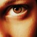 Profile Picture of Alice B (@cloudofsugar) on Pinterest