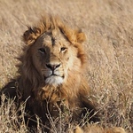 Profile Picture of Stefan Schmid (@sschmid_malawi) on Flickr