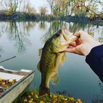 Profile Picture of Ale Manda (@road_to_bass_pro_fishing) on Instagram
